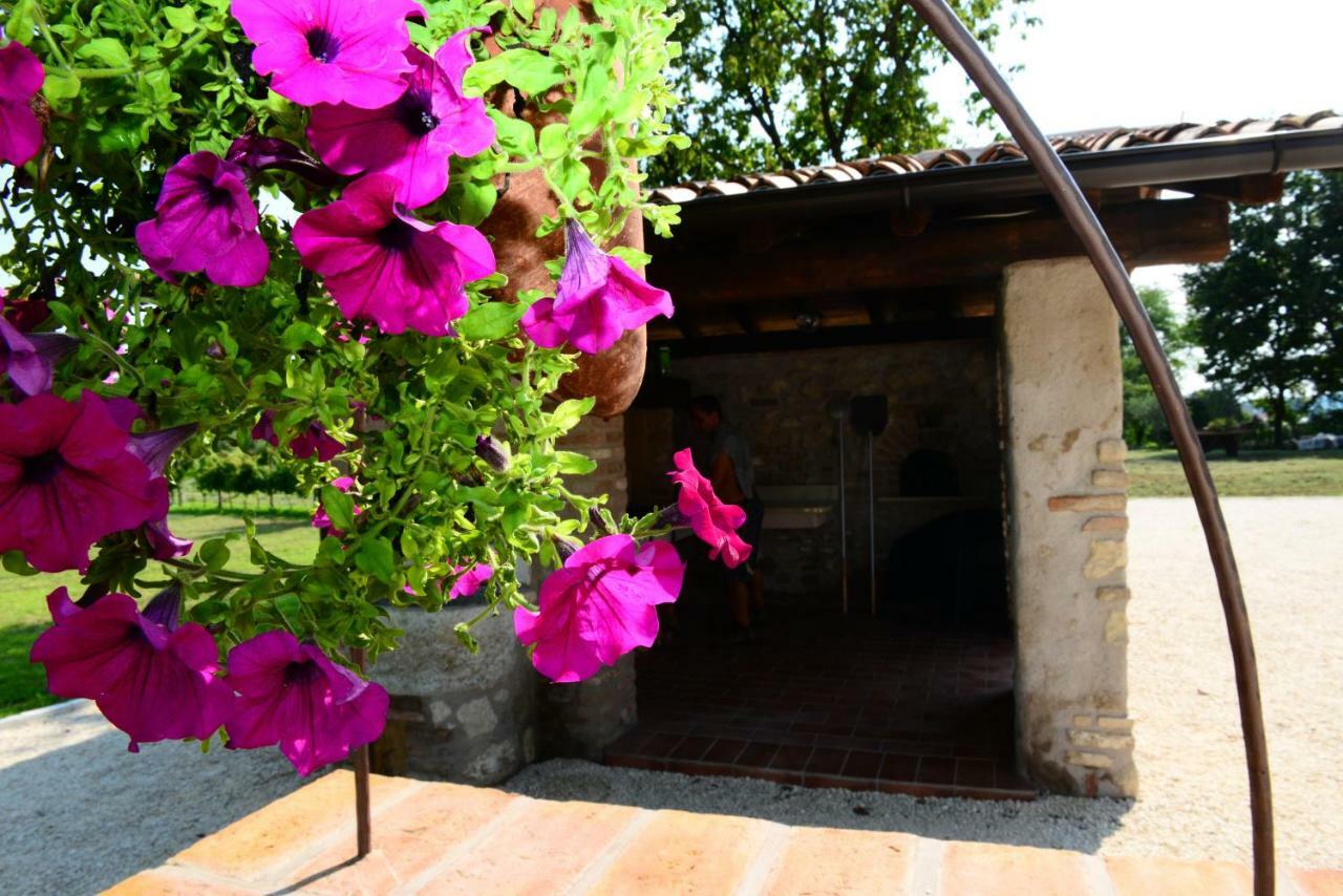 Corte Davini Agriturismo Villa มอนซามบาโน ภายนอก รูปภาพ